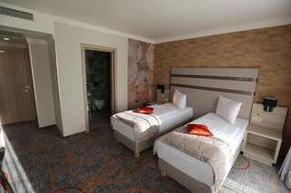 Отель Hotel Baril Хацег Улучшенный двухместный номер Делюкс с 1 кроватью или 2 отдельными кроватями-4