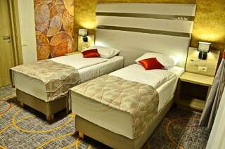 Отель Hotel Baril Хацег Улучшенный двухместный номер Делюкс с 1 кроватью или 2 отдельными кроватями-7