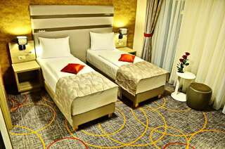 Отель Hotel Baril Хацег Улучшенный двухместный номер Делюкс с 1 кроватью или 2 отдельными кроватями-8