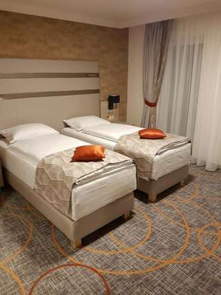 Отель Hotel Baril Хацег Улучшенный двухместный номер Делюкс с 1 кроватью или 2 отдельными кроватями-9