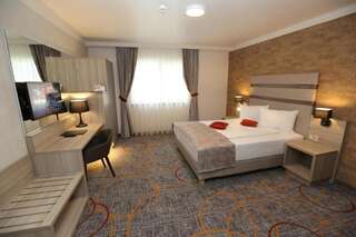 Отель Hotel Baril Хацег Двухместный номер с 1 кроватью-15